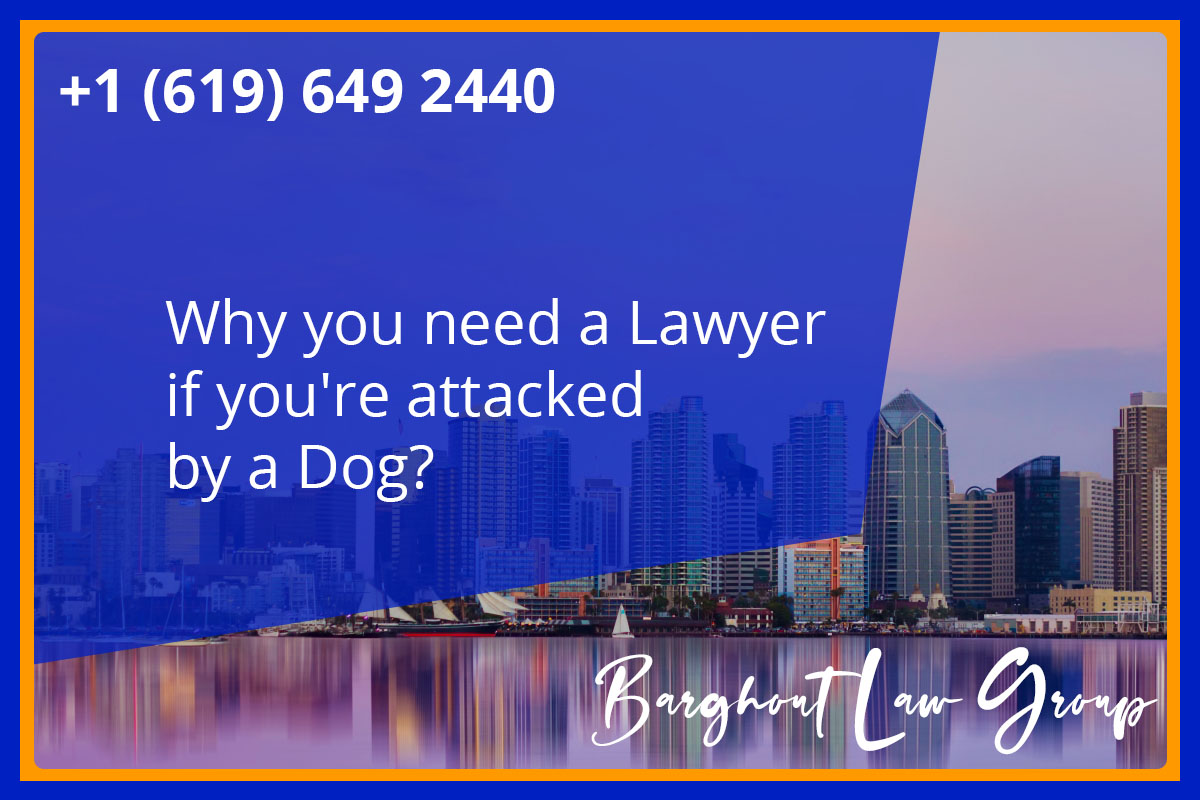 San Diego Dog Bite Attorney - Barghout Law Group, APC