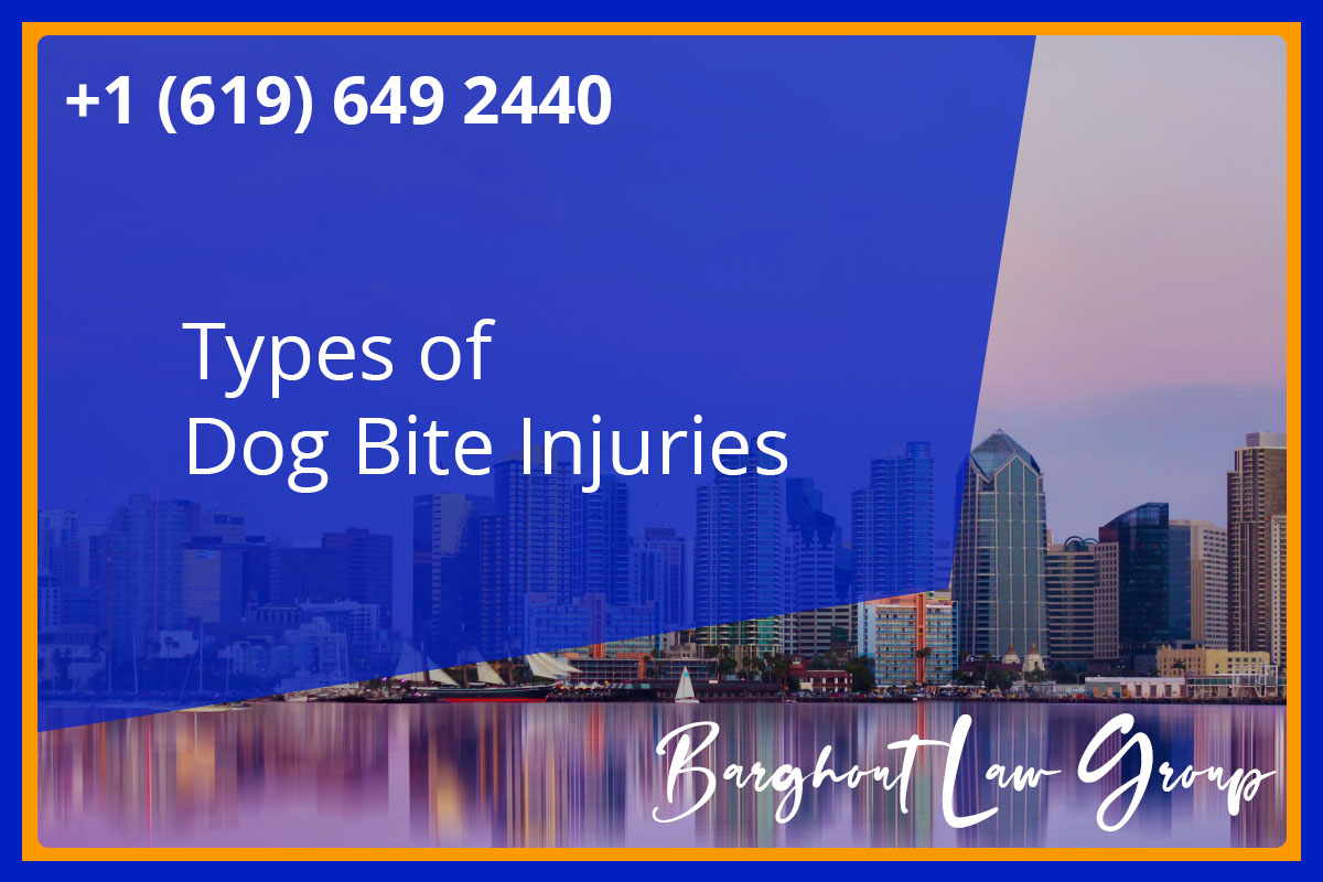 Types of San Diego Dog Bite Injuries - Barghout Law Group, APC